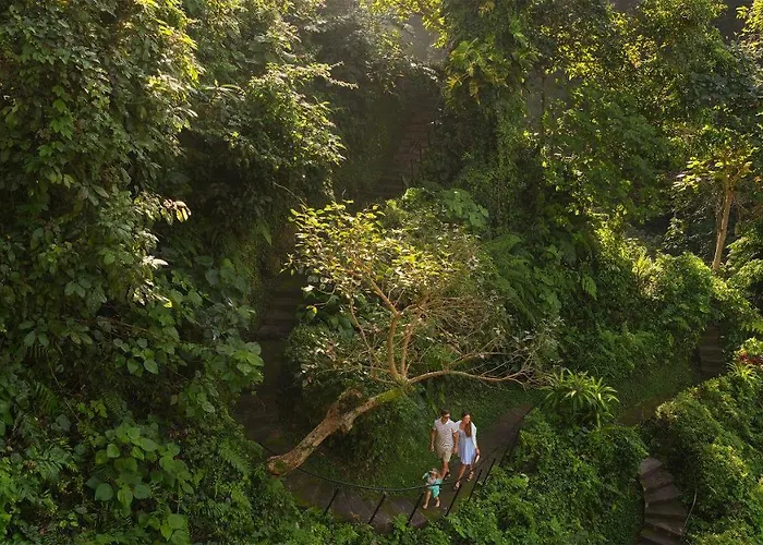 Maya & Ubud (Bali)