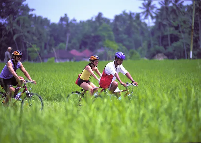 Maya & Ubud (Bali)
