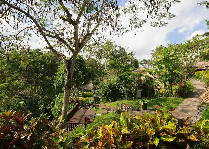 Resort Maya &