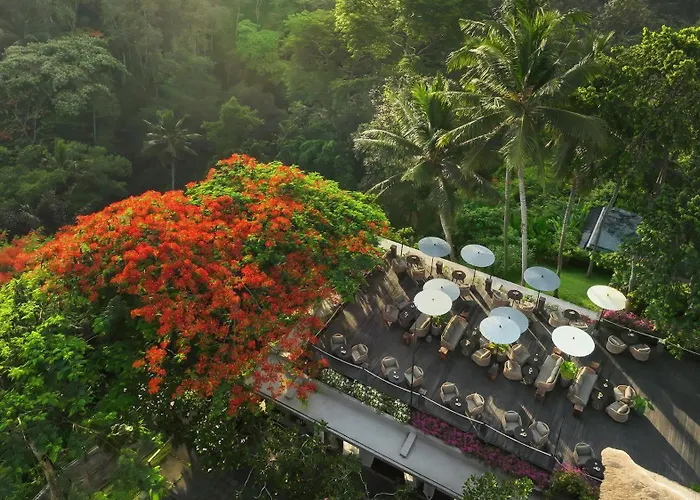 Maya & Resort 5*